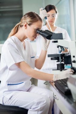 bilim adamı seyir içine laboratuar mikroskobu