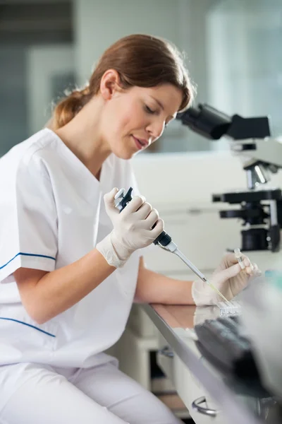 Technician Using Pipette In Laboratory Royalty Free Stock Photos