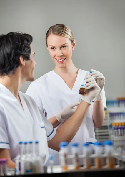 Gelukkig technici analyseren monster in het lab — Stockfoto