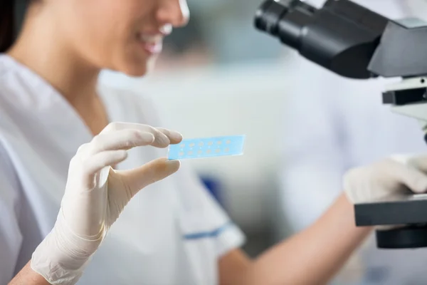 Forscher hält Objektträger unter dem Mikroskop — Stockfoto