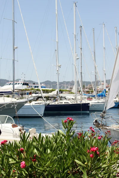 Båtar i hamnen — Stockfoto