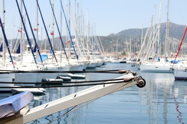 Harbor tekneler