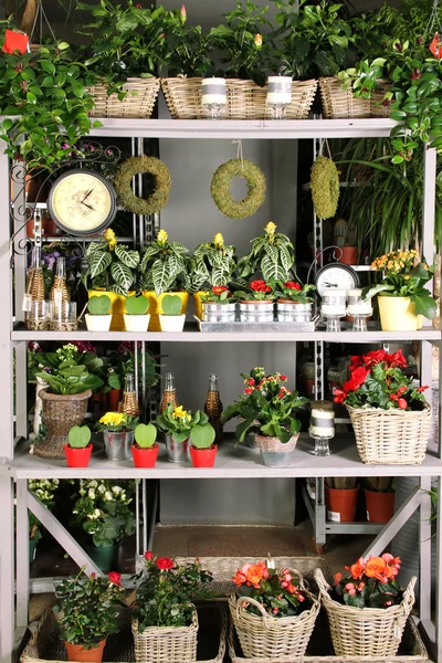 Shelves with goods — Stock Photo, Image