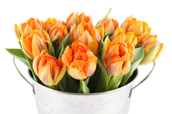 Bouquet de tulipes — Photo