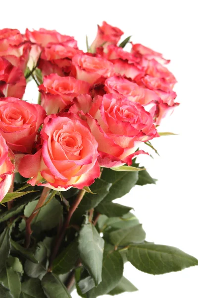 Bouquet di rose — Foto Stock