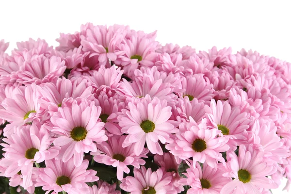 Bouquet of Chrysanthemums — Stock Photo, Image