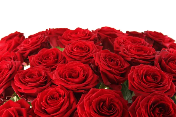 Bouquet di rose rosse — Foto Stock