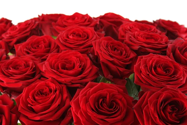 Bouquet di rose rosse — Foto Stock