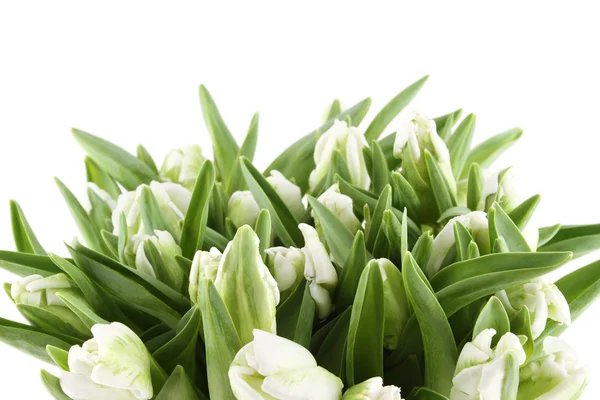 Bouquet de tulipes isolé sur blanc — Photo