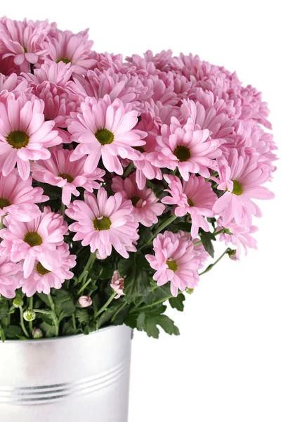 Bouquet of Chrysanthemums — Stock Photo, Image