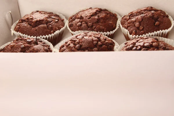 Schokoladenmuffins — Stockfoto