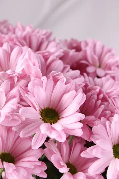 Bouquet de chrysanthèmes — Photo