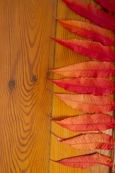 La superficie de madera con hojas de otoño — Foto de Stock