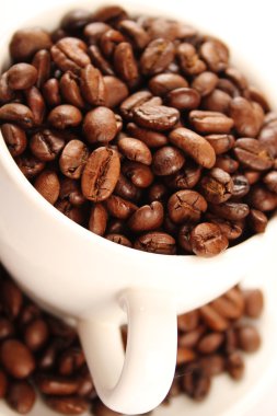 Bir fincan kahve çekirdeği.