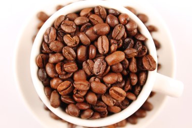 Bir fincan kahve çekirdeği.