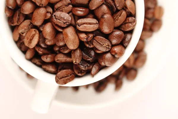 Cup of coffee beans — Stock Photo, Image