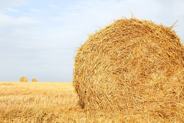 Hay Bale Scenery — Stock Photo, Image