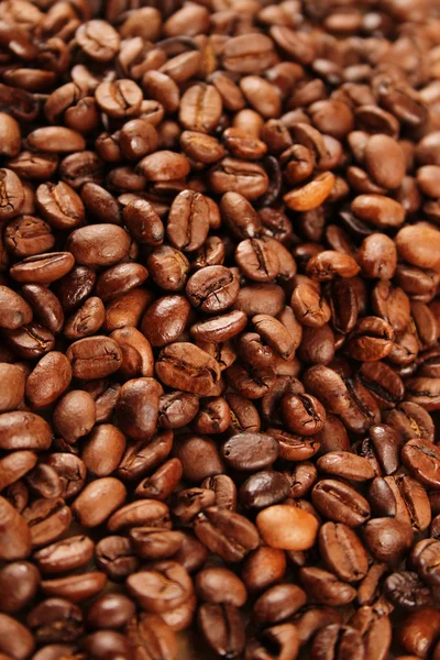 Coffee beans — Stock Photo, Image