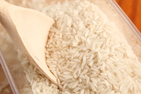 Pirinç fasulye — Stok fotoğraf