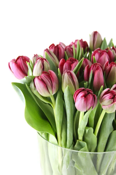 Tulips Bouquet — Stock Photo, Image