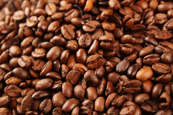 Coffee beans — Stock Photo, Image