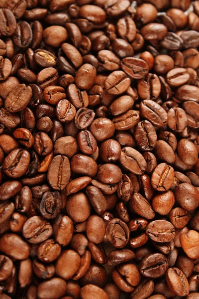 Coffee beans — Stock Photo, Image