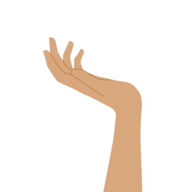 İki el, avuçlar yukarı. Vektör illüstrasyonu, düz çizgi film minimal tasarımı izole edildi