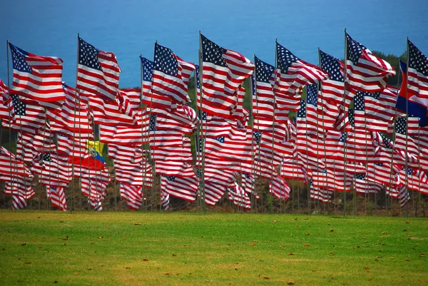 US Flag — Stock Photo, Image