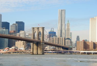 YENİ YORK