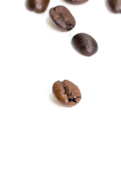 Coffee beans Stock Image