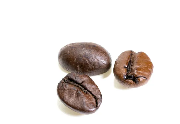 Coffee beans — Stock Photo, Image