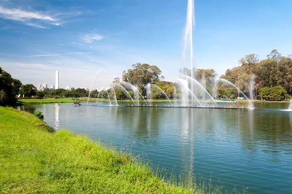 Parque Ibirapuera en Sao Paulo — Foto de Stock