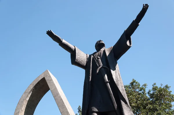 Monumentet Pedro Alvares Cabral i Sao Paulo Brasilien . - Stock-foto