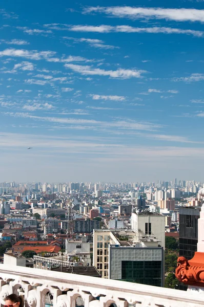 Cidade de São Paulo — Fotografia de Stock