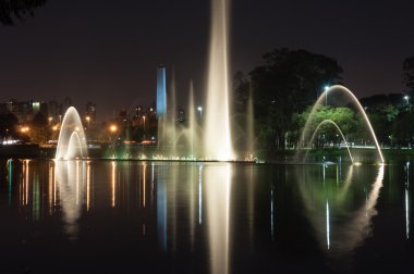 Ibirapuera Parkı, sao paulo, Brezilya