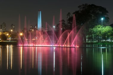 Ibirapuera Parkı, sao paulo, Brezilya