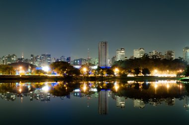 Ibirapuera Parkı - sao paulo