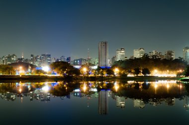 Ibirapuera Park - Sao Paulo clipart