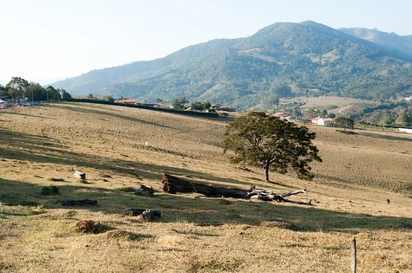 Valle entre las montañas —  Fotos de Stock