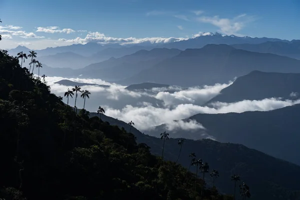 Montañas tropicales nubladas y palmeras en primer plano. Concepto de viaje y aventura — Foto de Stock