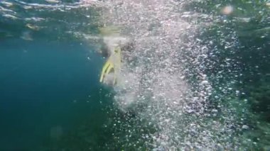 Yüzgeçli bir adamın yavaş çekimde suya dalması. Seyahat ve tatil kavramı 
