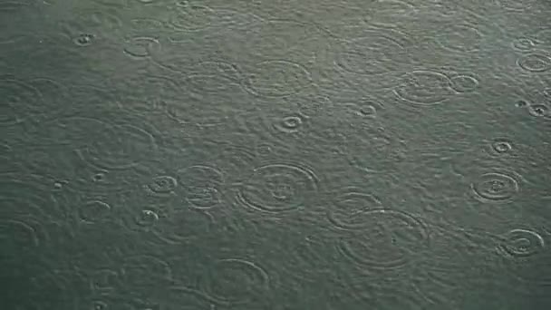 Lluvia ligera cae sobre la superficie del agua en cámara lenta — Vídeo de stock