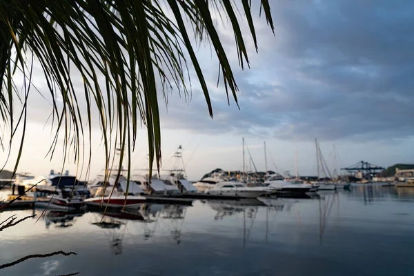 Veel zeilboten aangemeerd in een jachthaven met palm u voorgrond. Begrip vakantie en reizen — Stockfoto