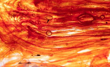 Kırmızı ve beyaz şeffaf renk arkaplan baloncuklu soyut renkli cam dokusu. Yüksek kalite fotoğraf