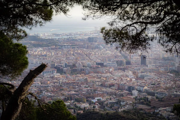 丘の上の森からバルセロナ市と海の景色 休暇と旅行のコンセプト — ストック写真
