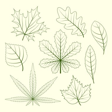 bitkilerin yaprakları. kontür