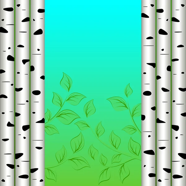 Birch background — Stock Vector