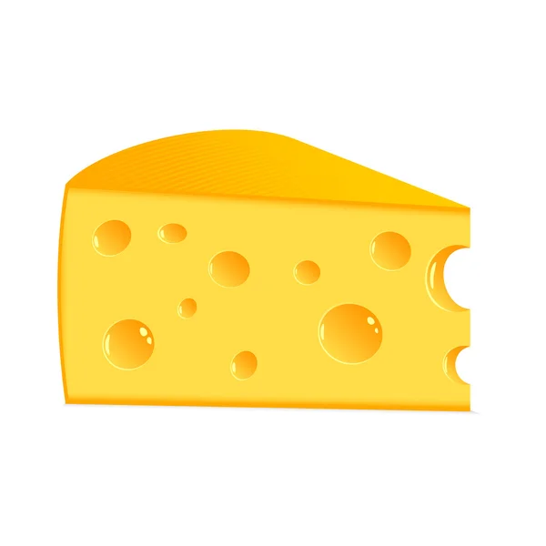 Cheese — Stock Vector