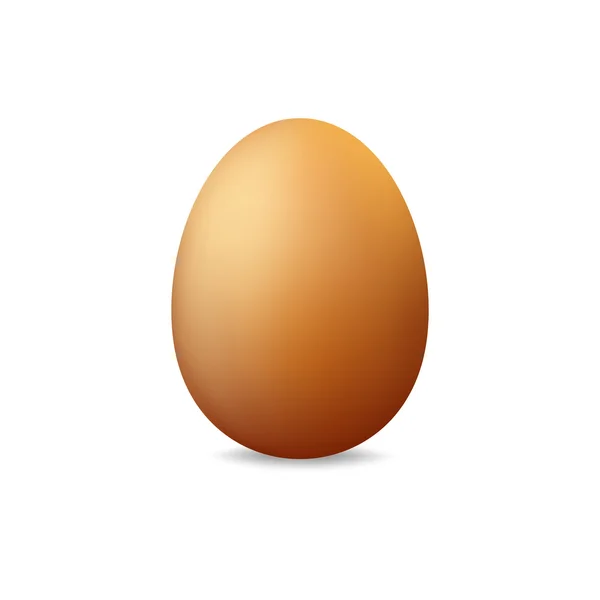 Huevo sobre fondo blanco — Vector de stock