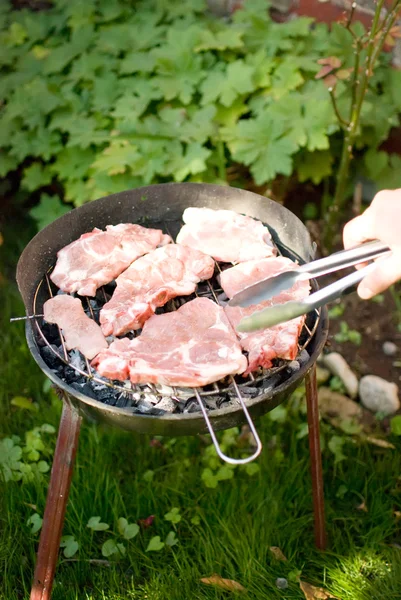 Barbeque. — Fotografia de Stock